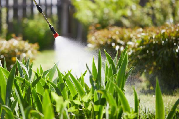 24/7 Emergency Bed Bug Control experts in Perryton, TX