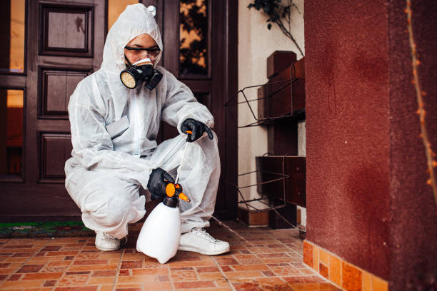 Reliable Bed Bug Control contractor in Perryton, TX by Nex Pest Control